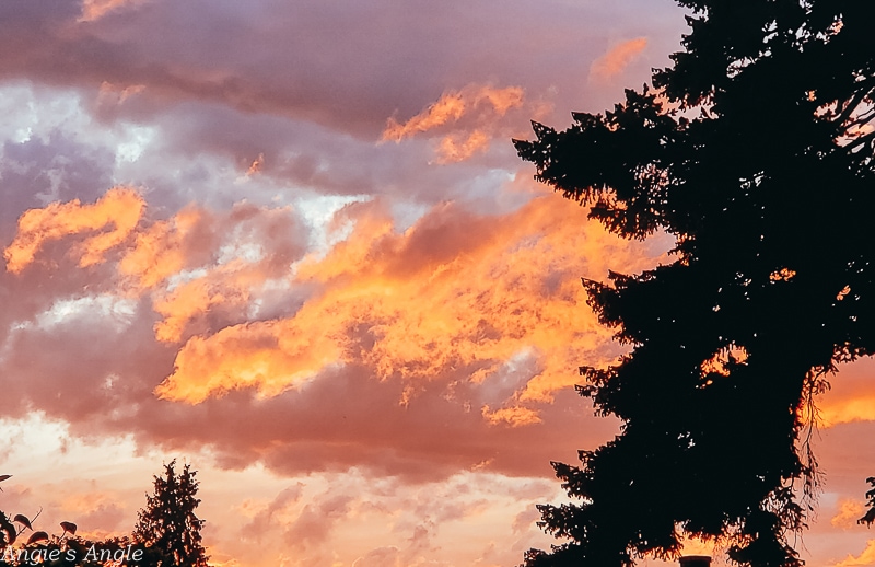 2020 Catch the Moment 366 Week 18 - Day 126 - Beautiful Sunset