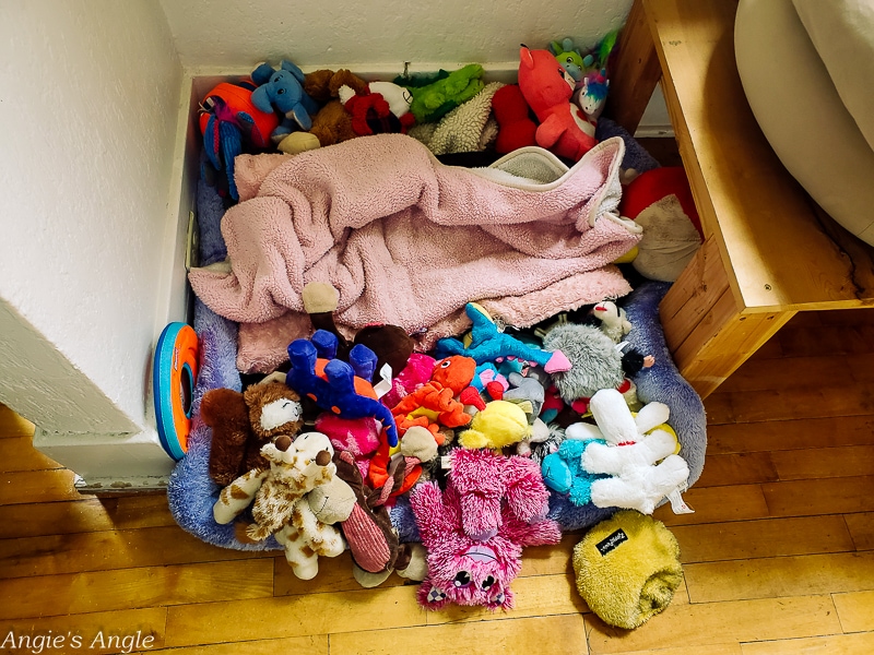 2020 Catch the Moment 366 Week 20 - Day 134 - Roxys Toy Stash