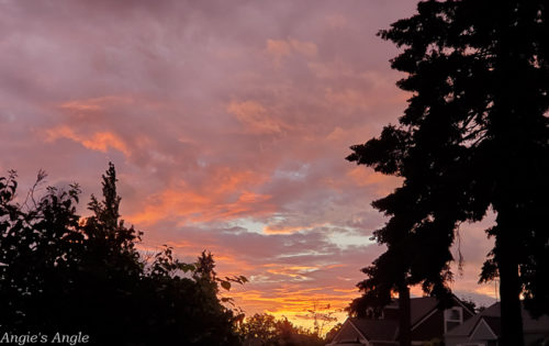 2020 Catch the Moment 366 Week 20 - Day 139 - Another Sunset