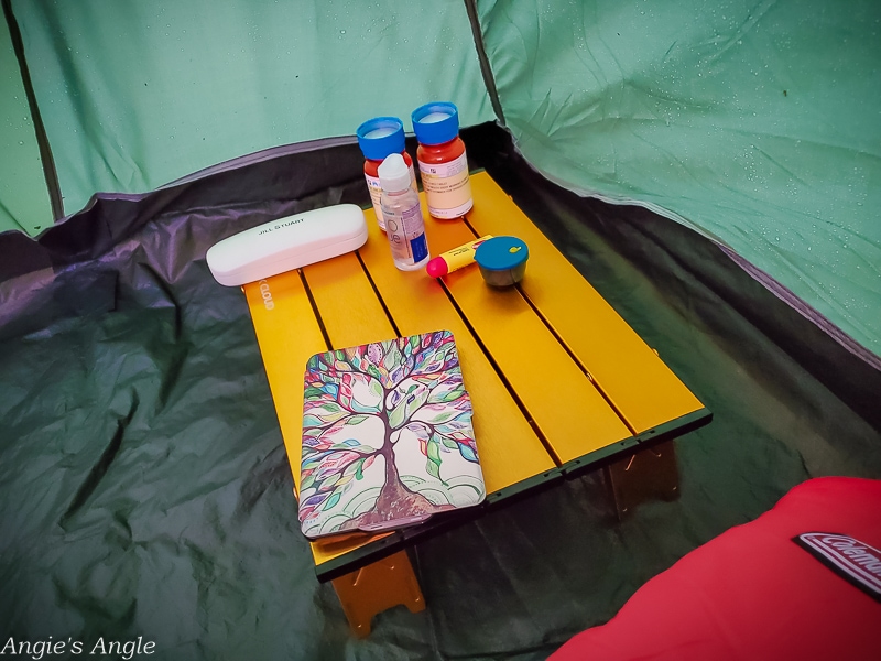 2020 Catch the Moment 366 Week 25 - Day 172 - Perfect Tent Side Table