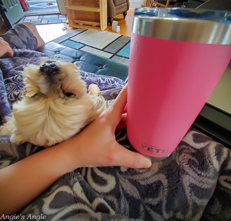 2020 Catch the Moment 366 Week 26 - Day 180 - Outtakes of What Is In My Cup