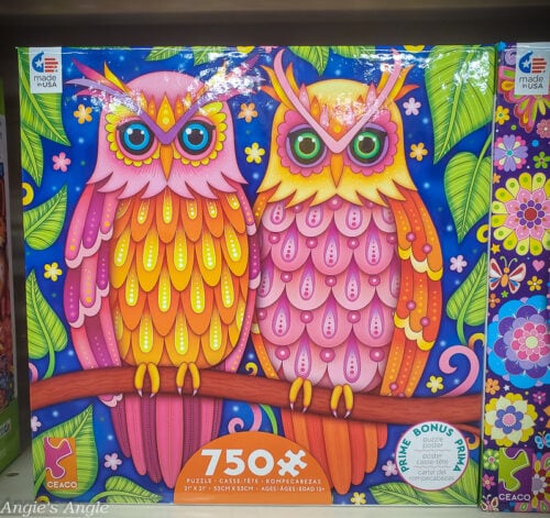 2020 Catch the Moment 366 Week 27 - Day 183 - Puzzle Find in Fred Meyer