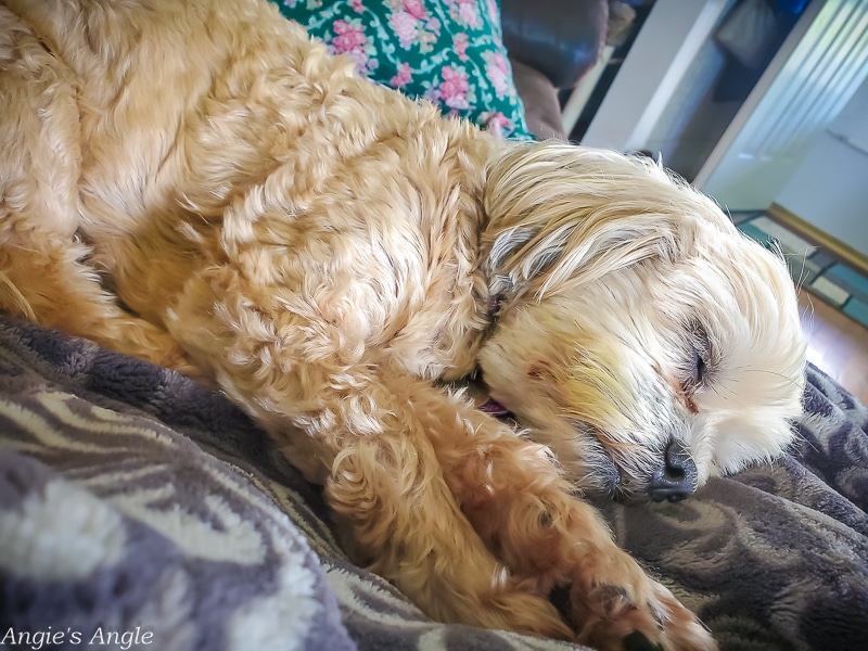 2020 Catch the Moment 366 Week 28 - Day 190 - Sweet Baby Girl