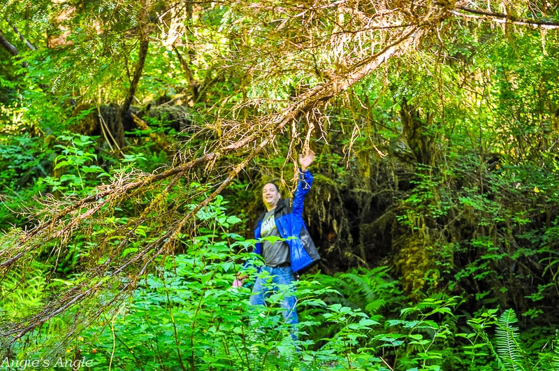 Camping at Willaby-Hike from Campsite