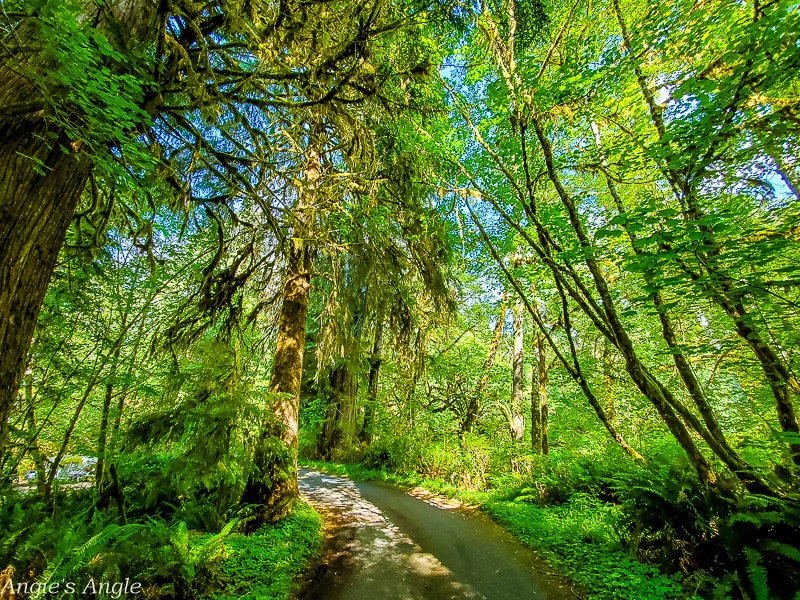 Camping at Willaby-Hiking Path