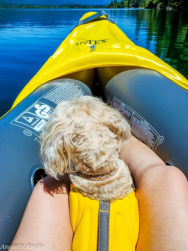 Camping at Willaby-Roxy Sits and Watches in Kayak