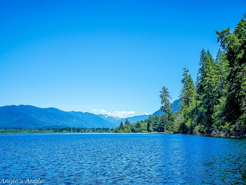 Camping at Willaby-Lake Quinault