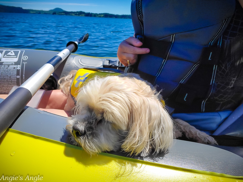 Camping at Willaby-Roxy Says I Like Kayaking