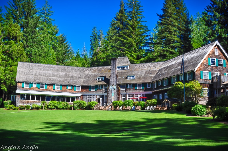 Camping at Willaby-Lake Quinault Lodge