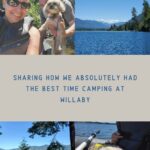 Camping at Willaby - Pin