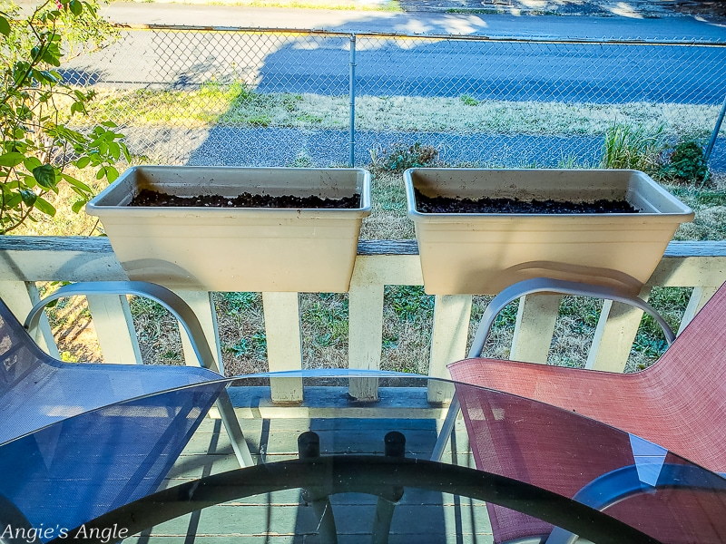 2020 Catch the Moment 366 Week 32 - Day 222 - Garden Boxes