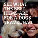 Dogs Travel Bag - Pin