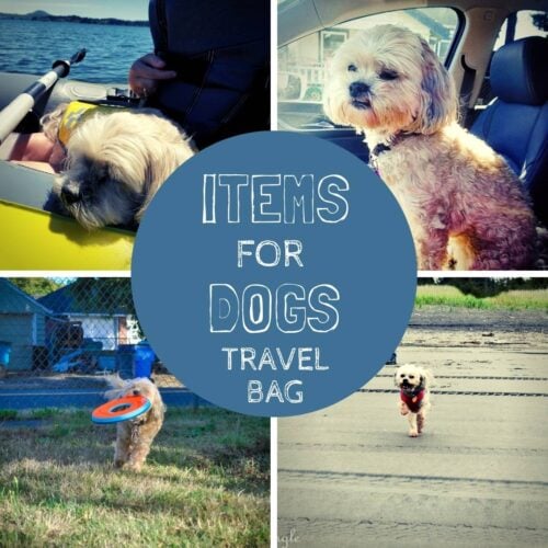 Dogs Travel Bag - Social