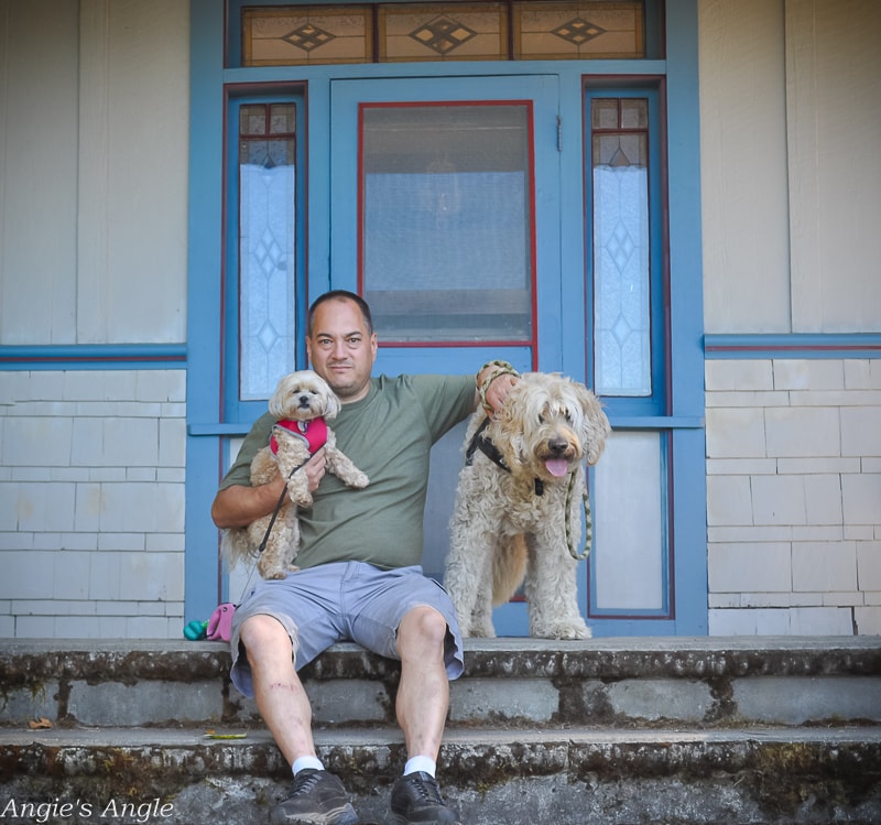 2020 Catch the Moment 366 Week 35 - Day 241 - Jason and the Dogs