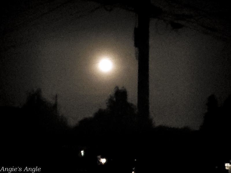 2020 Catch the Moment 366 Week 35 - Day 243 - Bad Moon Shot