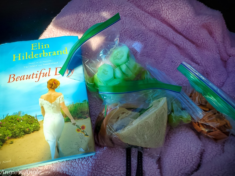 2020 Catch the Moment 366 Week 35 - Day 245 - Lunch Picnic in Car