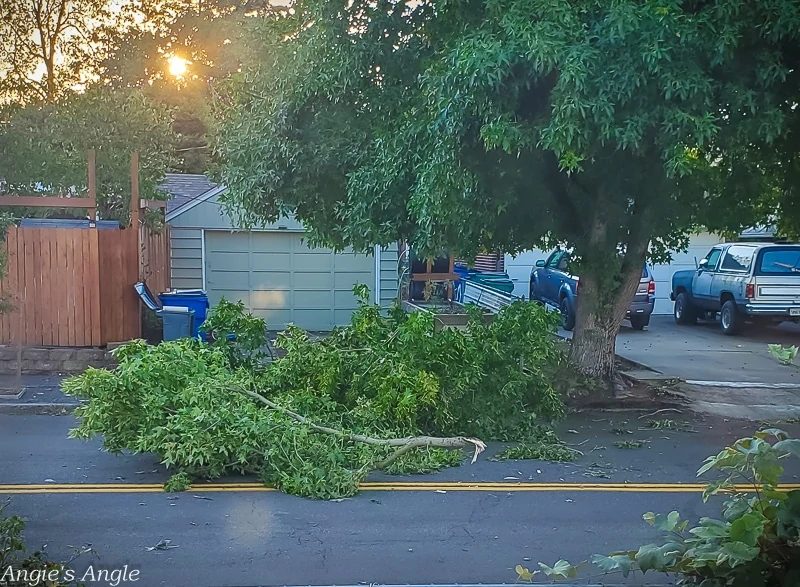 2020 Catch the Moment 366 Week 36 - Day 252 - Vancouver Washington Summer Wind Storm