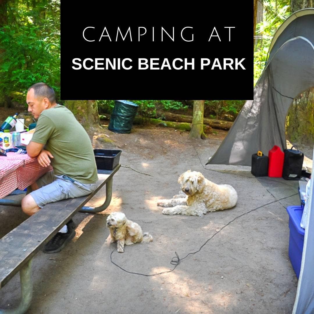 Scenic Beach Park Camping – One Last Big Camping Trip of the Year