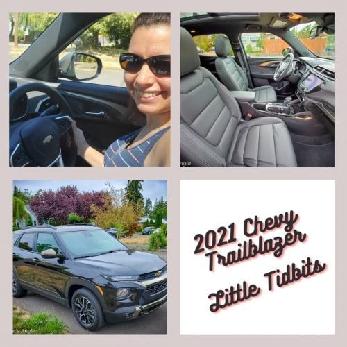 Tidbits of the 2021 Chevrolet Trailblazer - Social