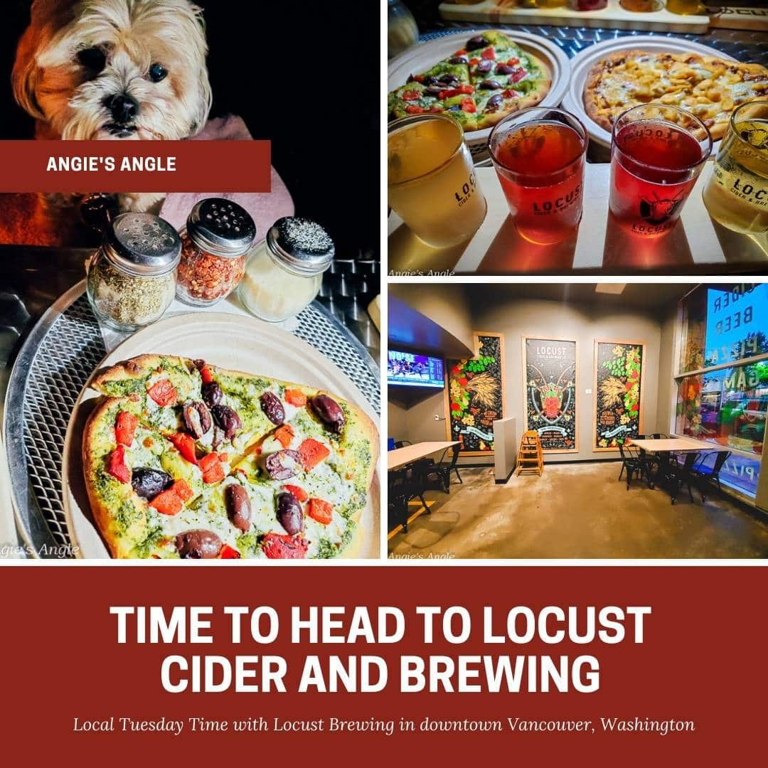 Time to Head to Locust Cider and Brewing for the Best Cider