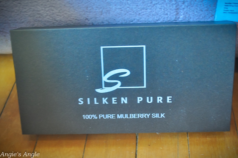 Silken Pure Silk Pillow Case