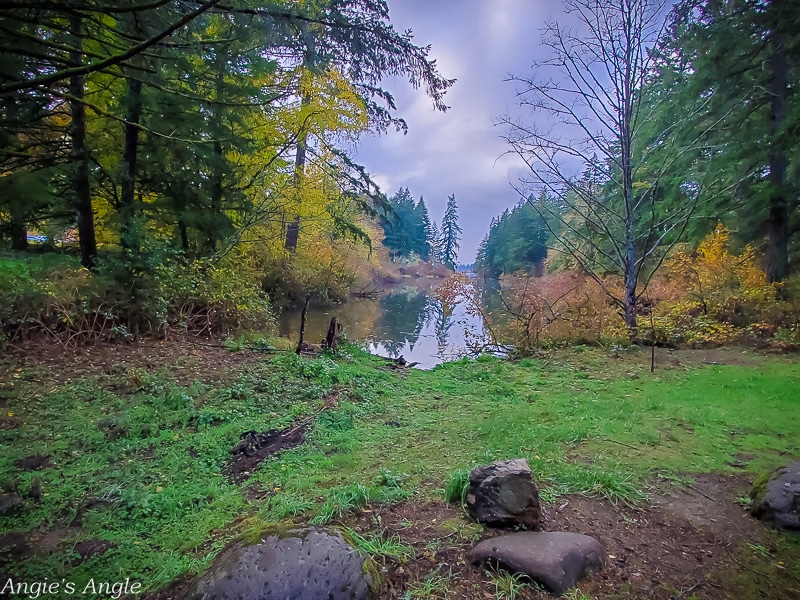 2020 Catch the Moment 366 Week 45 - Day 312 - Fall Day in Camas