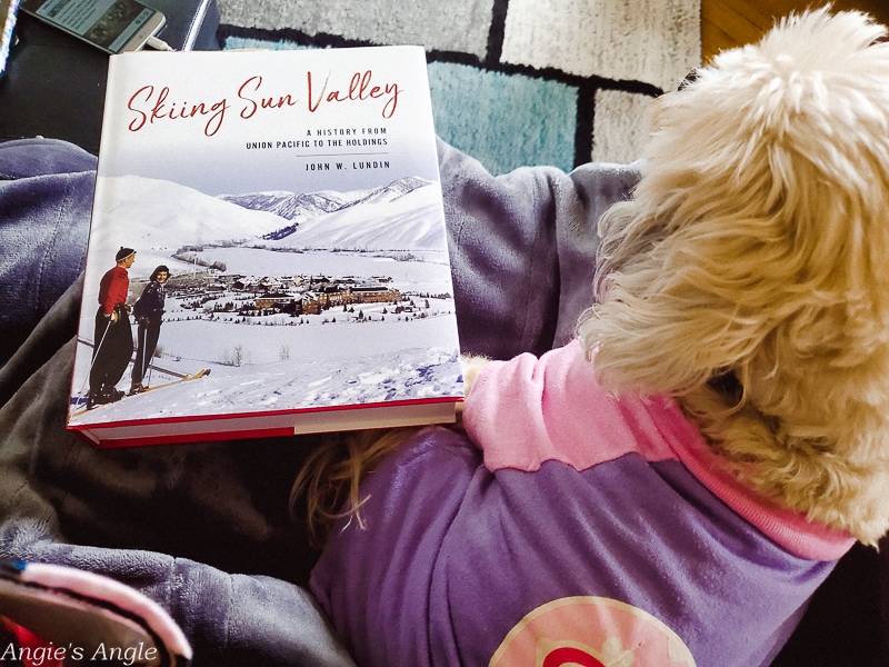 2020 Catch the Moment 366 Week 47 - Day 328 - New Book Morning with Skiing Sun Valley