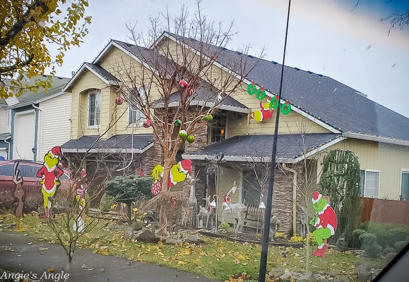 2020 Catch the Moment 366 Week 50 - Day 350 - Grinch Display