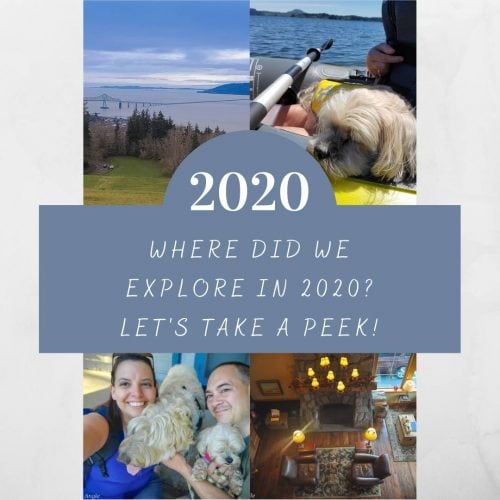 Where Did We Explore in 2020 - Social