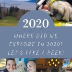Where Did We Explore in 2020 - Pin