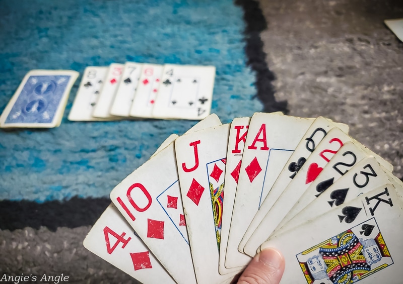 2021 Catch the Moment 365 - Week 4 - Day 23 - A Little Rummy