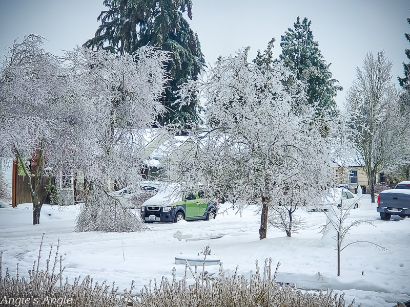 2021 Catch the Moment 365 - Week 8 - Day 46 - Ice Storm After Snow