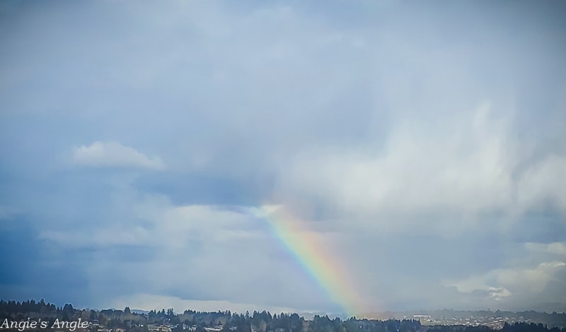 2021 Catch the Moment 365 - Week 8 - Day 51 - Rainbow