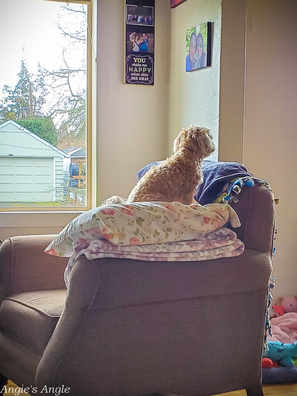 2021 Catch the Moment 365 - Week 9 - Day 57 - I sit High to See Out the Other Window