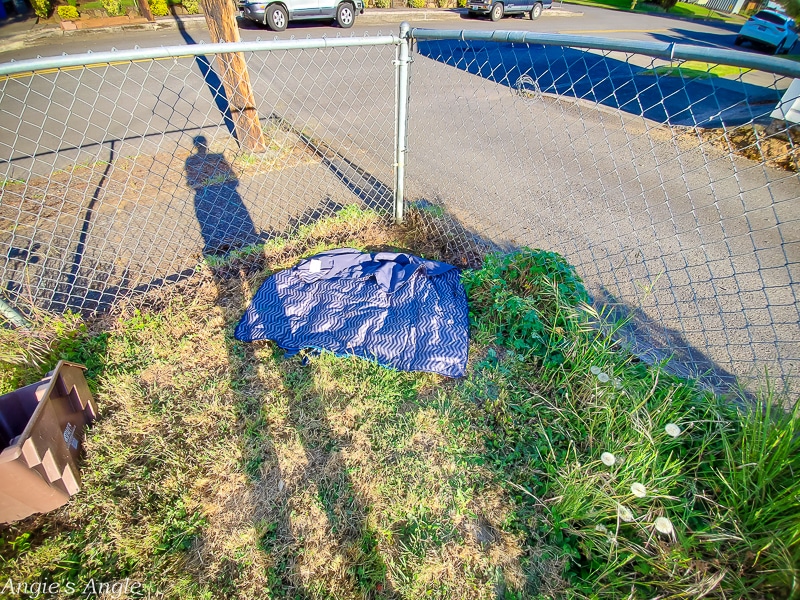 2021 Catch the Moment 365 - Week 19 - Day 129 - Finally Yard Work