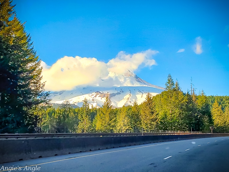 2021 Catch the Moment 365 - Week 20 - Day 134 - Mt Hood