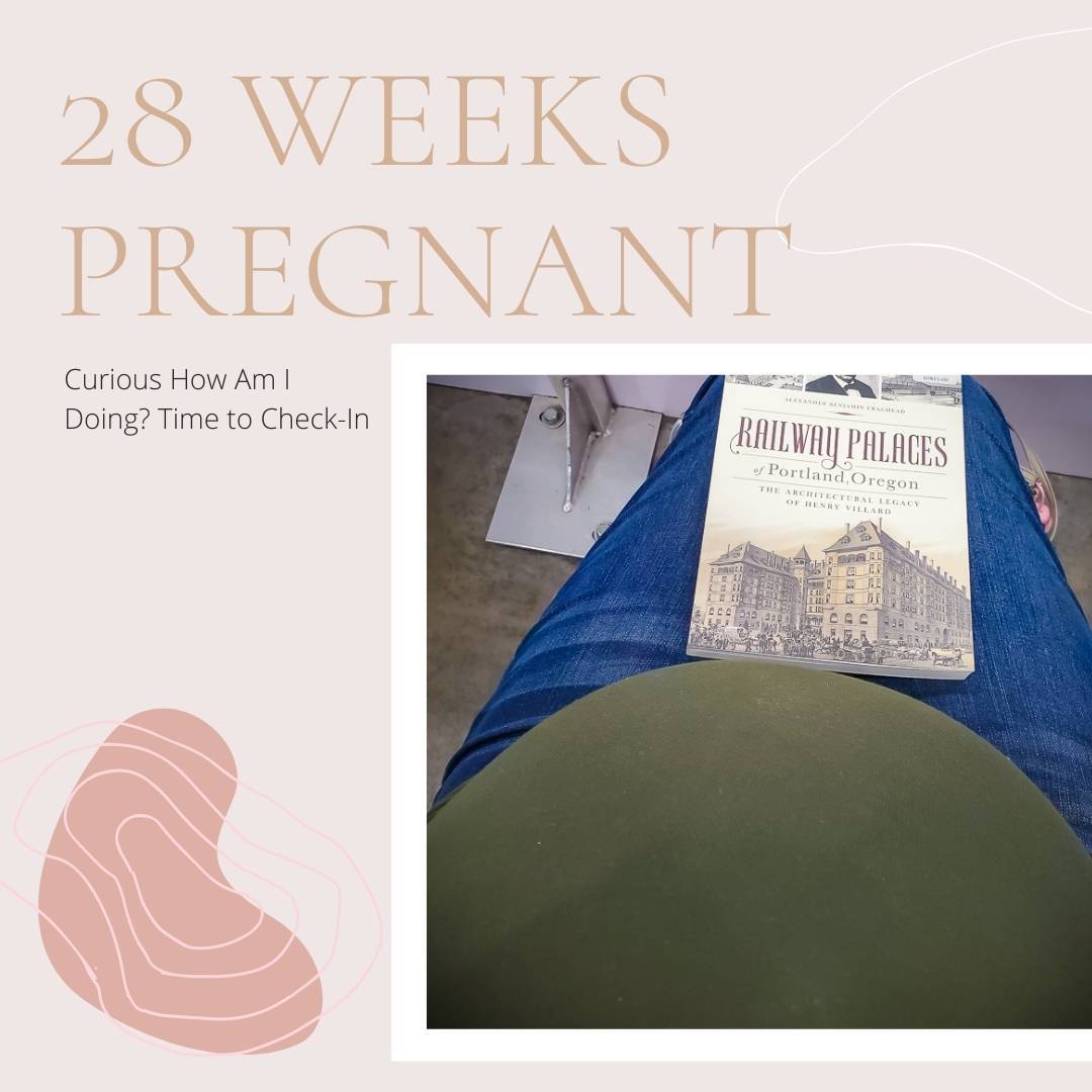 28 Weeks Pregnant – Curious How Am I Doing? Time to Check-In