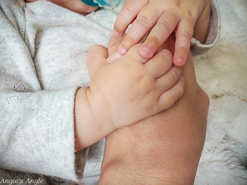 2021 Catch the Moment 365 - Week 42 - Day 291 - Holding Hands