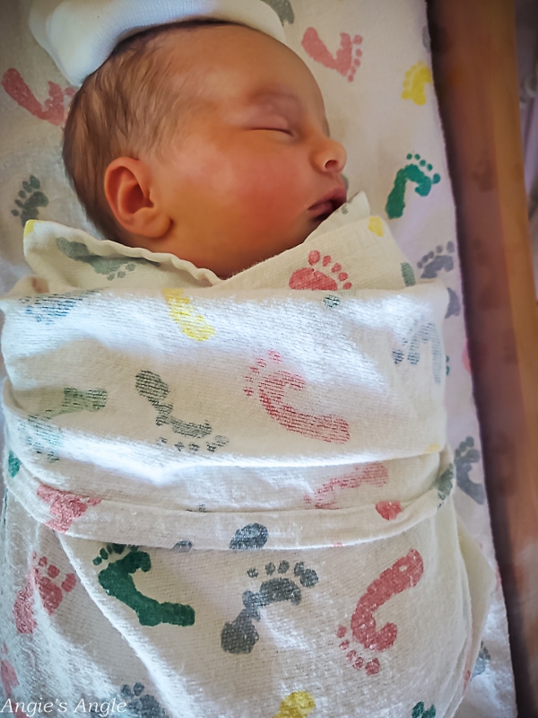 Birth Story Time - Lily-10
