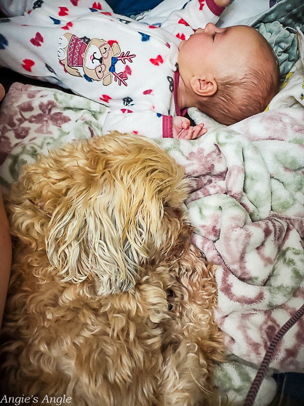 2021 Catch the Moment 365 - Week 43 - Day 298 - Sisters