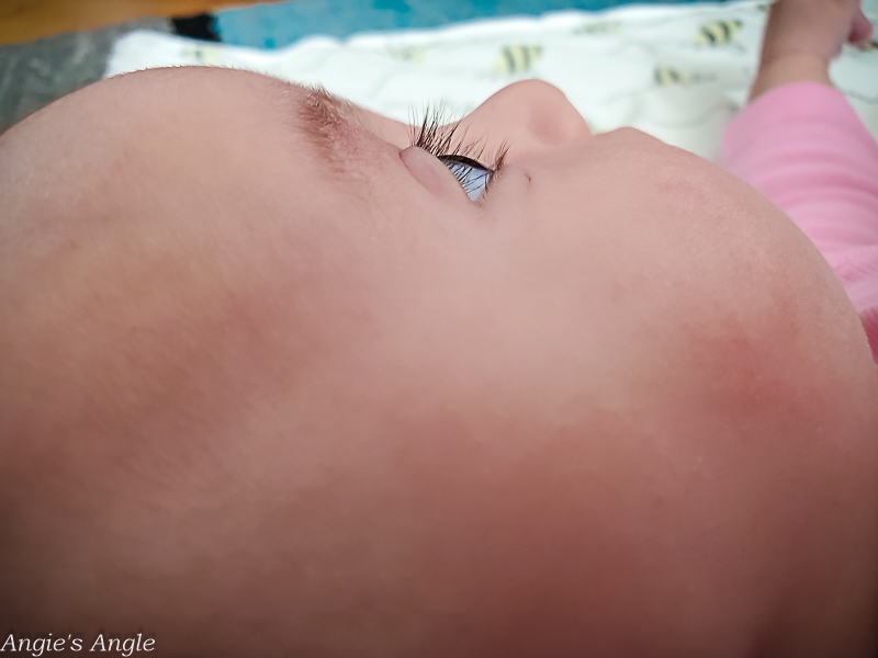 2021 Catch the Moment 365 - Week 44 - Day 307 - Those Eyelashes