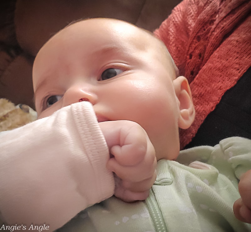 2021 Catch the Moment 365 - Week 45 - Day 310 - Fists