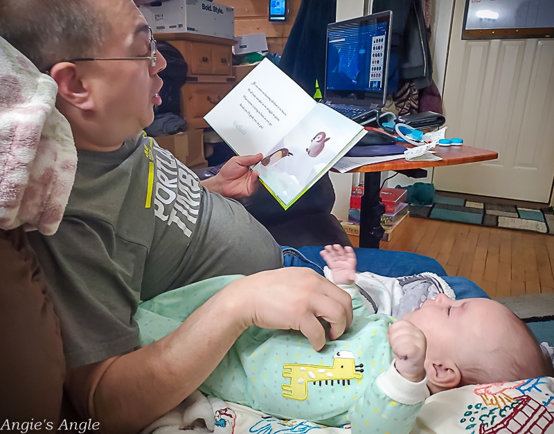 2021 Catch the Moment 365 - Week 45 - Day 315 - Daddy Reading to Lily