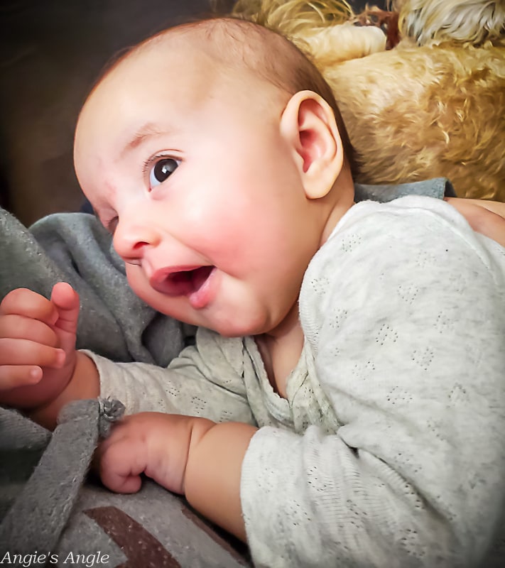 2021 Catch the Moment 365 - Week 46 - Day 321 - That Smile