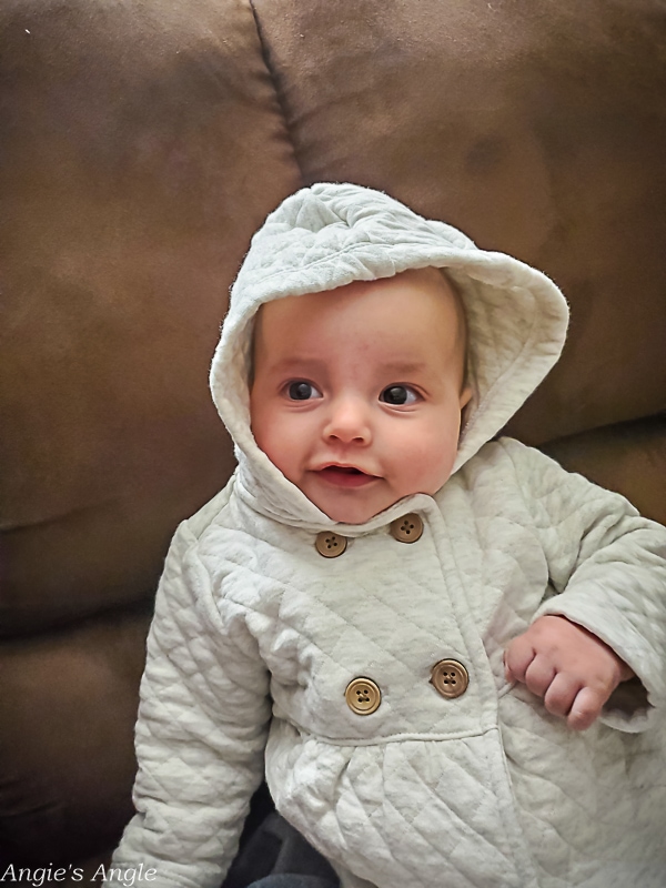 2021 Catch the Moment 365 - Week 47 - Day 326 - Cutie Pie in her Jacket