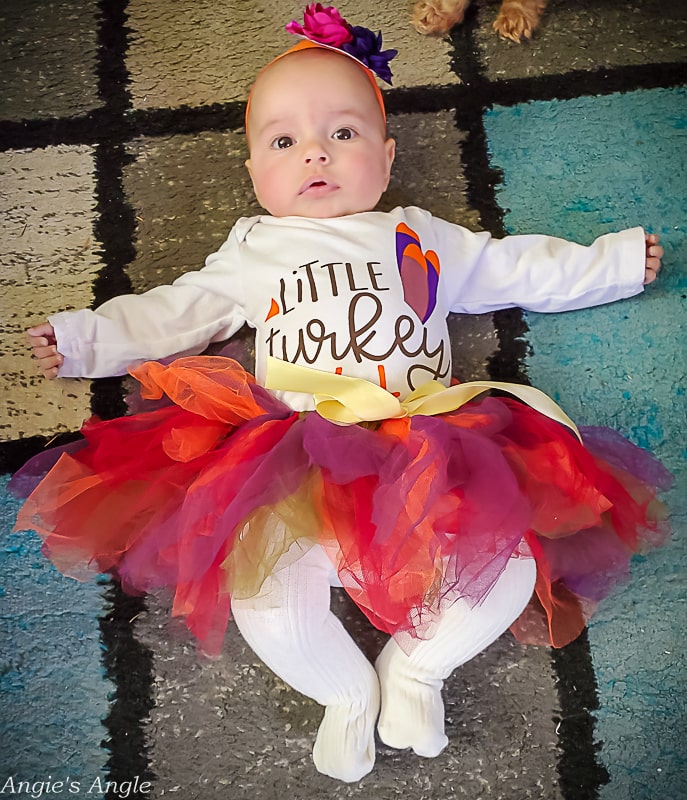 2021 Catch the Moment 365 - Week 47 - Day 329 - Our little Turkey