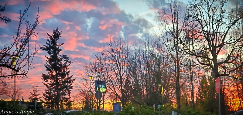 2021 Catch the Moment 365 - Week 48 - Day 335 - Clinic Sunset