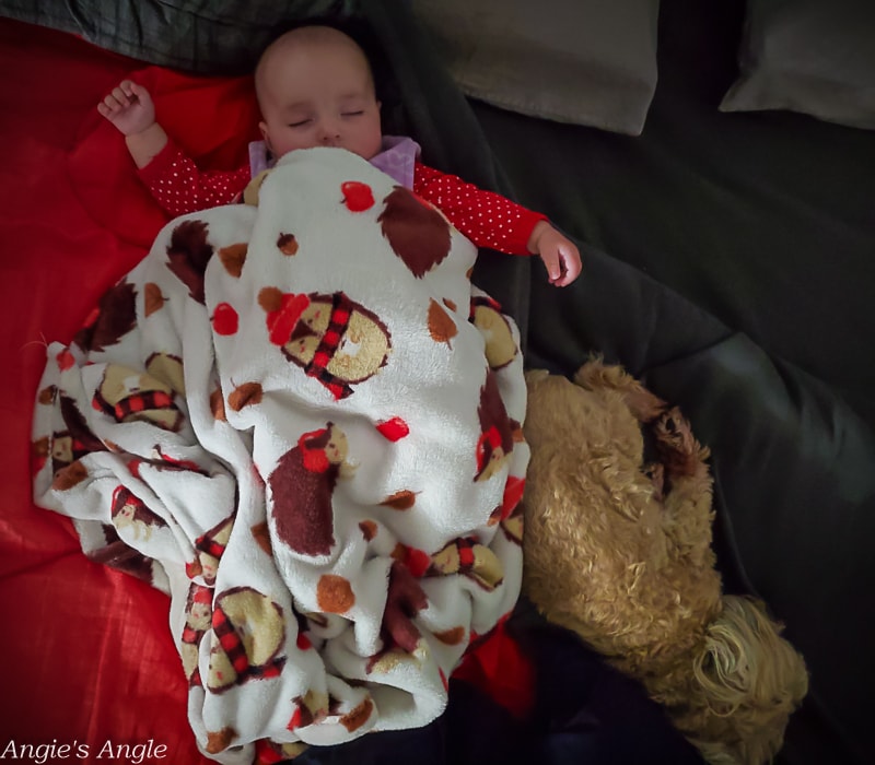 2021 Catch the Moment 365 - Week 50 - Day 345 - Sleepy Babies