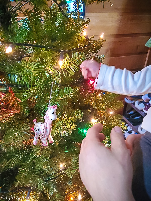 2021 Catch the Moment 365 - Week 52 - Day 358 - Tree Finally Decorated