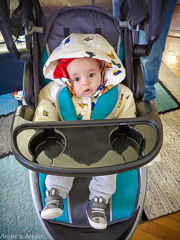 2021 Catch the Moment 365 - Week 52 - Day 360 - First Stroller Walk